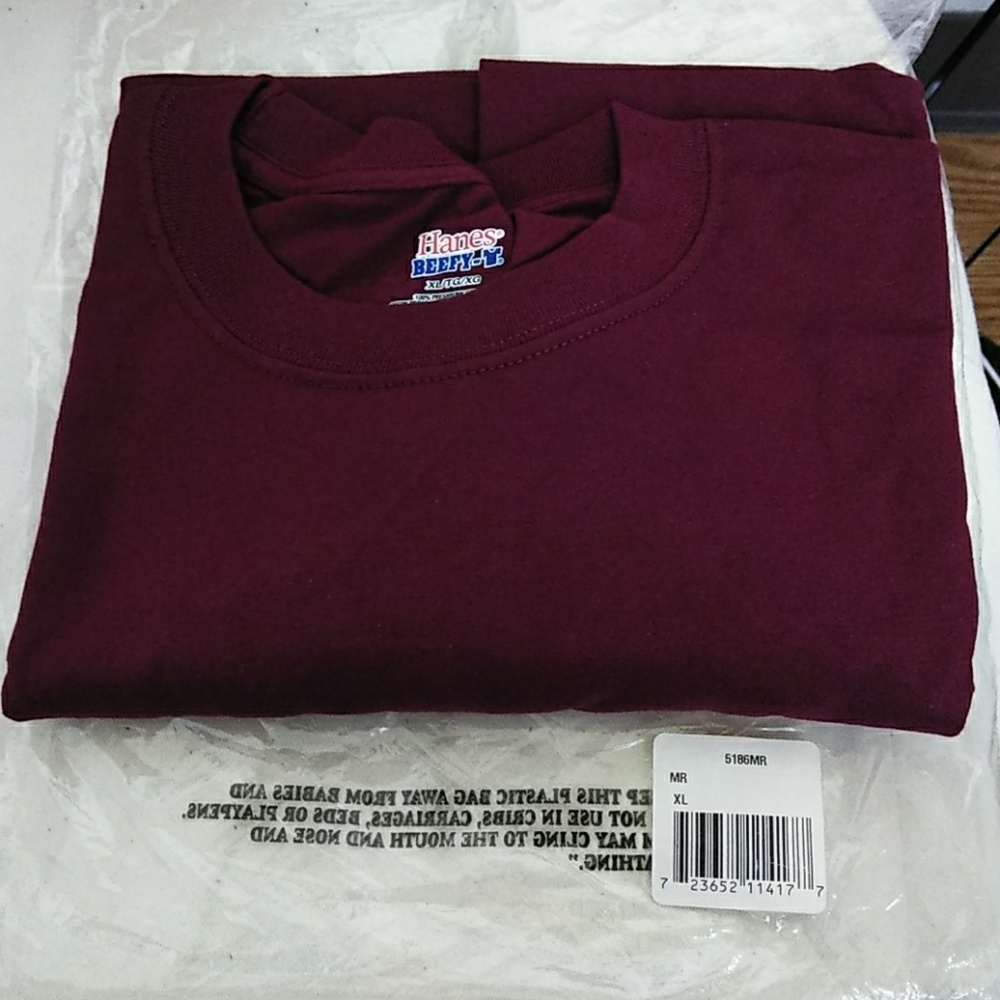 Hanes Beefy-T Plain Long Sleeve shirt